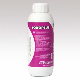 Boroplus 1 l 800×800