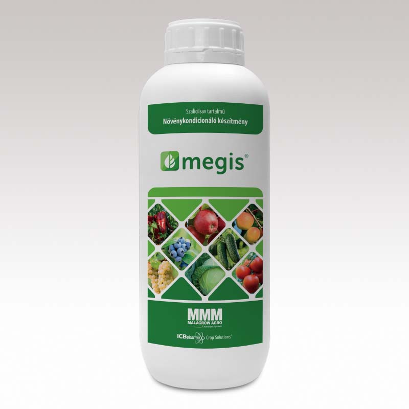 MEGIS